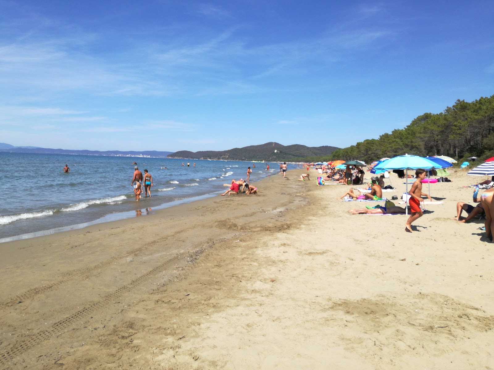 Fotografija Punta Ala beach nahaja se v naravnem okolju