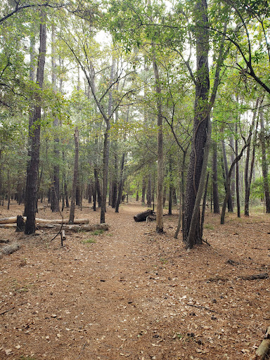 Bear Creek to Langham Creek Trail