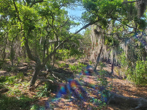 Park «Boca Ciega Millennium Park», reviews and photos, 12410 74th Ave N, Seminole, FL 33772, USA