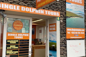 Dingle Dolphin Boat Tours image