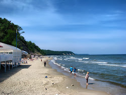Svelogorskiy Beach'in fotoğrafı çok temiz temizlik seviyesi ile