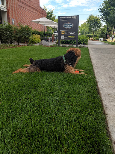 Live Music Venue «Revolution Hall», reviews and photos, 1300 SE Stark St #110, Portland, OR 97214, USA