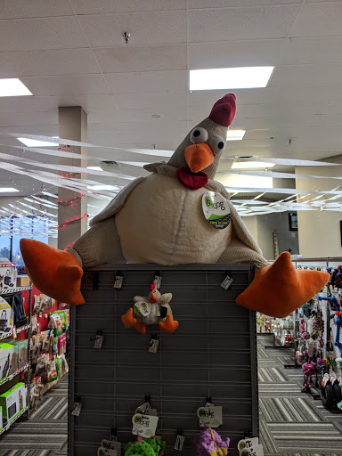 Pet Store «Paws Natural Pet Emporium», reviews and photos, 8551 W Gage Blvd, Kennewick, WA 99336, USA
