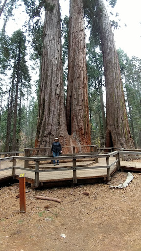 Museum «Angels Camp City Museum», reviews and photos