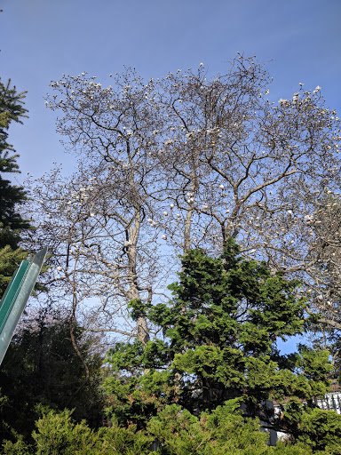 Park «Palisades Park Recreation Area», reviews and photos, 676 Undercliff Ave, Edgewater, NJ 07020, USA