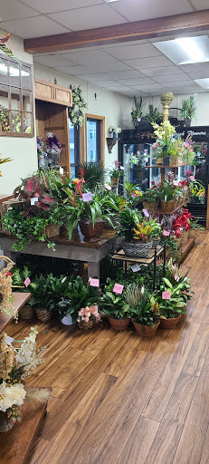 Florist «Frances Flower Shop», reviews and photos, 1222 W Capitol Ave, Little Rock, AR 72201, USA