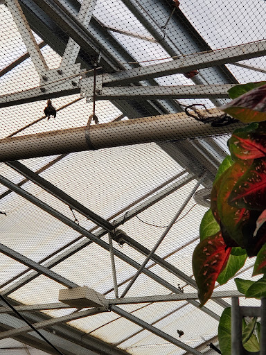 Home Improvement Store «The Home Depot», reviews and photos, 393 S Hover Rd, Longmont, CO 80501, USA