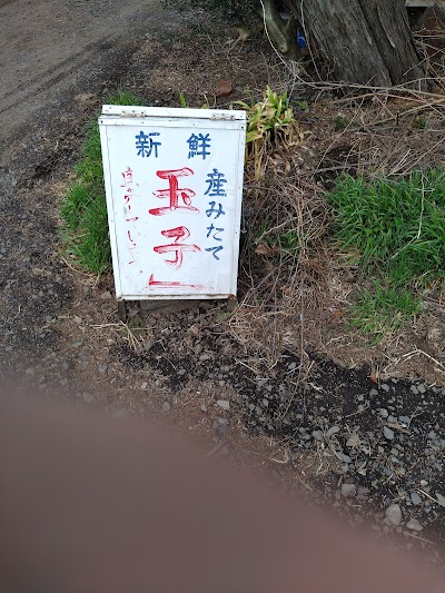 鶏卵直売所