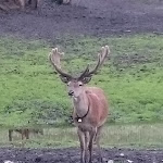 Photo n°1 de l'avis de Bernd.i fait le 26/09/2018 à 10:46 sur le  Pizzeria Hans à Reschen am See