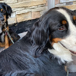 Photo n°4 de l'avis de Andrea.. fait le 25/07/2022 à 05:12 sur le  Heimbacher Brauhaus à Heimbach