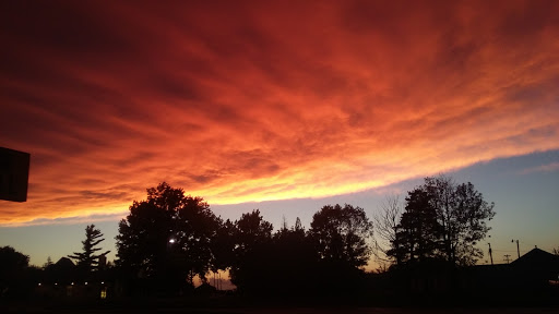 Discount Store «Dollar General», reviews and photos, 900 Princeton Dr, Albia, IA 52531, USA