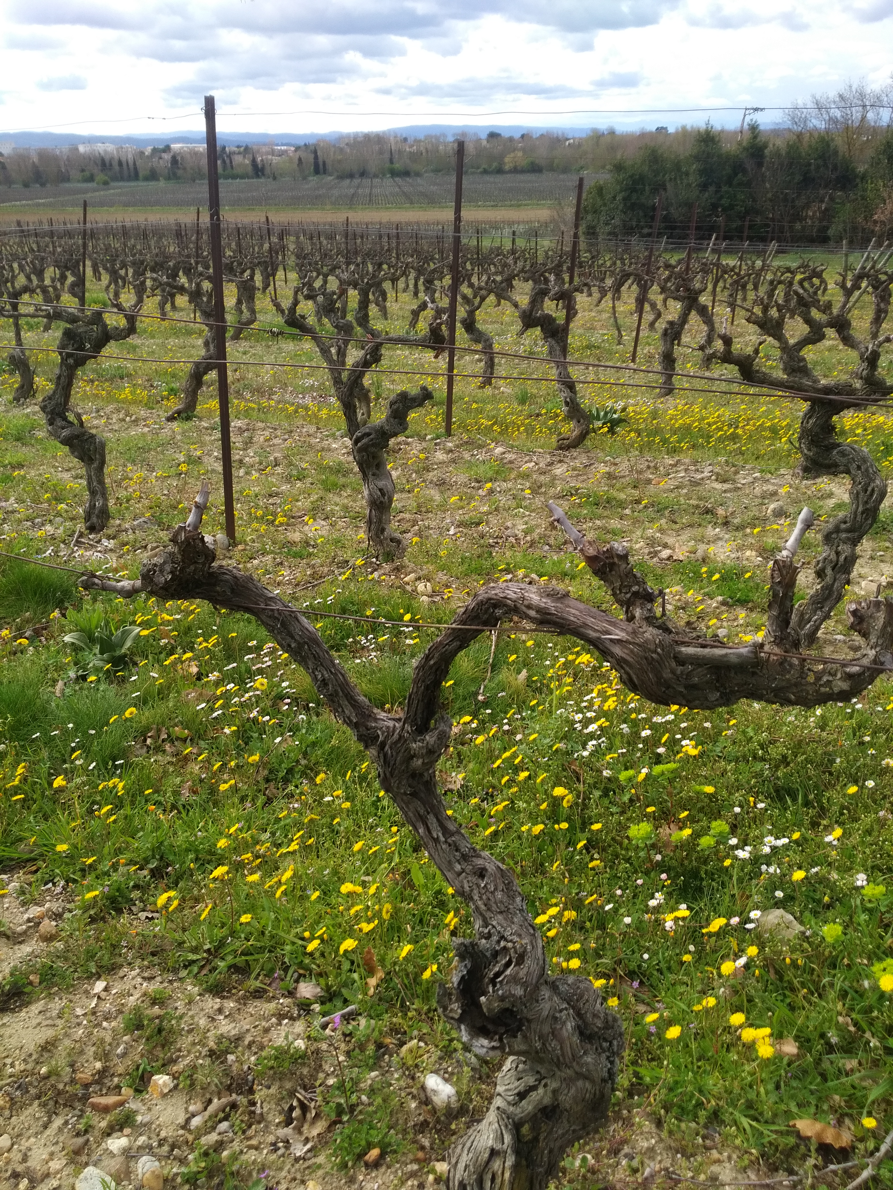 Photo n° 2 de l'avis de Sergi.a fait le 31/03/2018 à 10:04
