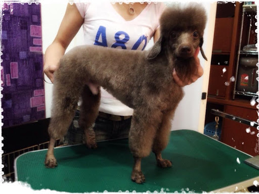 Fur Oak Professional Pet Grooming LLC