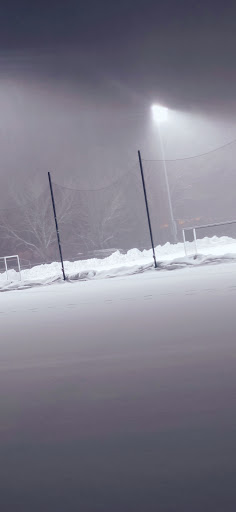 State Park «Wilson Mountain Reservation», reviews and photos, 384 Common St, Dedham, MA 02026, USA