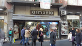 Best Dalmatian Shops In Naples Near You
