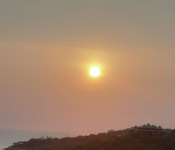 Eagle view photo