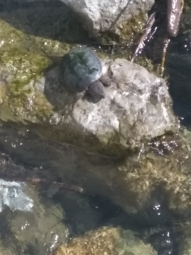 Park «Mt. Elliott Park», reviews and photos, 110 Mt Elliott St, Detroit, MI 48207, USA