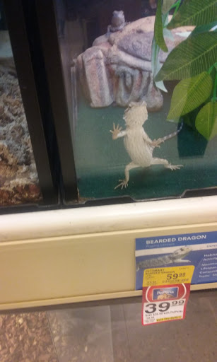 Pet Supply Store «PetSmart», reviews and photos, 5 Mystic View Rd, Everett, MA 02149, USA