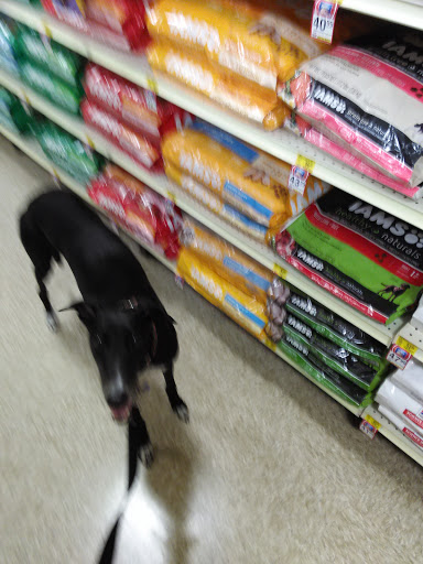 Pet Supply Store «PetSmart», reviews and photos, 7850 W Commercial Blvd, Lauderhill, FL 33351, USA