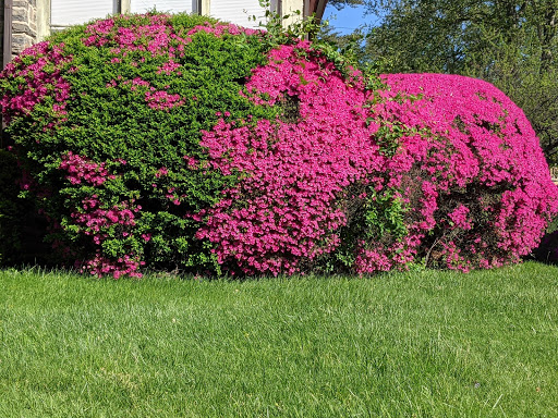 Shopping Mall «Bond Shopping Center», reviews and photos, 1891 S State Rd, Upper Darby, PA 19082, USA