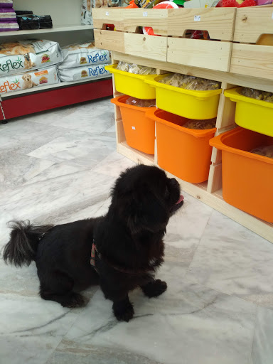 Beldibi Petshop