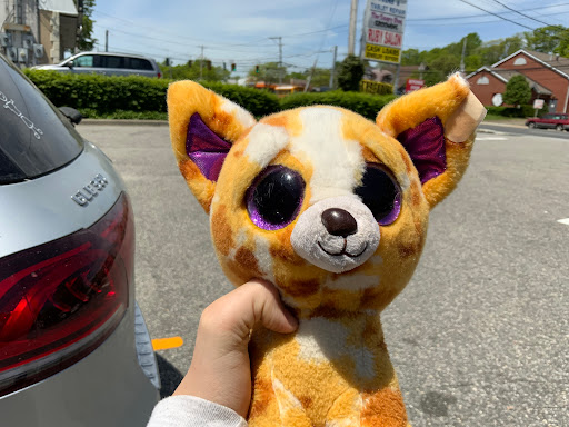 Nissan Dealer «Nissan of Huntington», reviews and photos, 850 E Jericho Turnpike, Huntington Station, NY 11746, USA