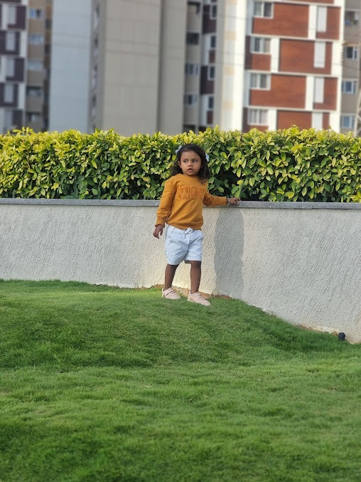 Google Maps image 17