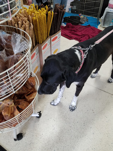 Pet Store «M V Pets», reviews and photos, 7429 S Westnedge Ave, Portage, MI 49002, USA