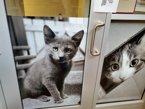 Animal Protection Organization «Charleston Animal Society», reviews and photos