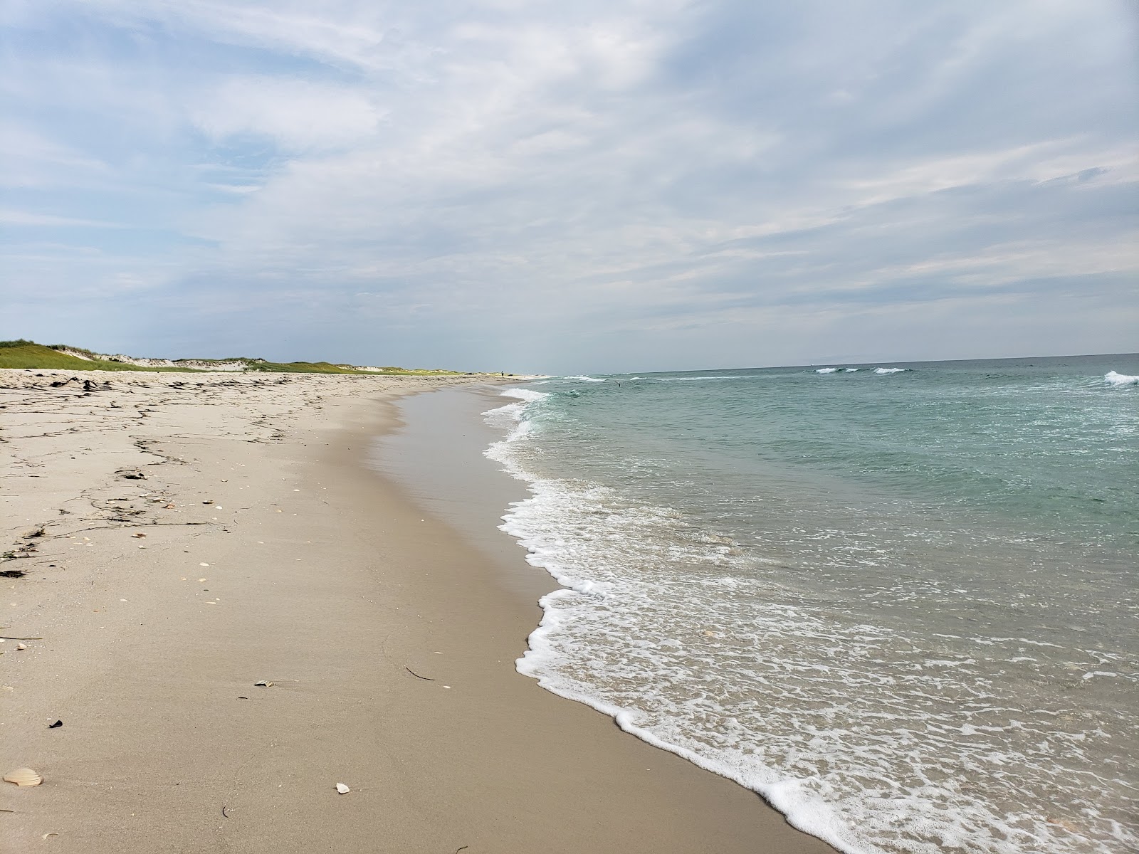 Foto di Island Beach State Park - luogo popolare tra gli intenditori del relax