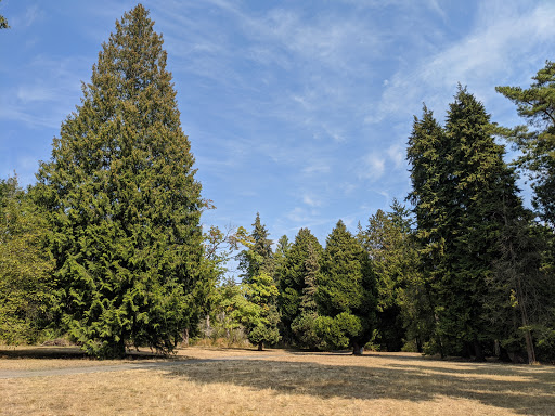 Ravenna Park Picnic Shelter #1