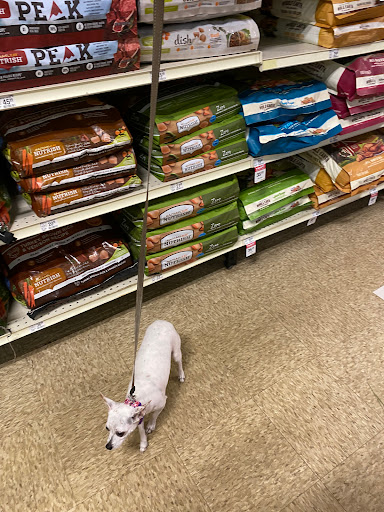 Pet Supply Store «PetSmart», reviews and photos, 215 Needham St, Newton, MA 02464, USA