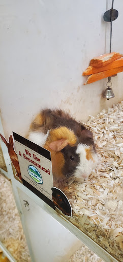 Pet Supply Store «Buckles Feed Depot & Pet Supply», reviews and photos, 220 S 4th St, Lafayette, IN 47901, USA