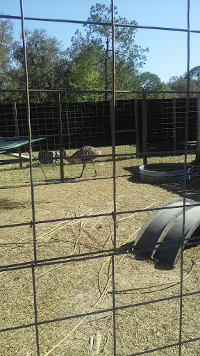 Zoo «Florida International Teaching Zoo», reviews and photos, 7725 FL-48, Bushnell, FL 33513, USA