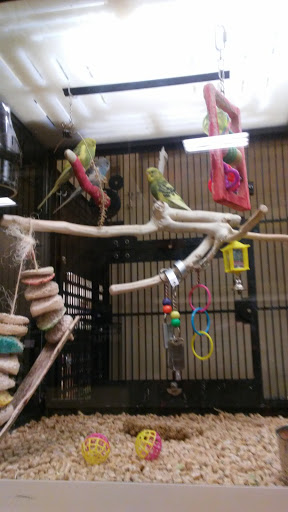 Pet Supply Store «PetSmart», reviews and photos, 901 US-1, North Brunswick Township, NJ 08902, USA