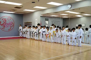 World Class Karate - Vaughan image