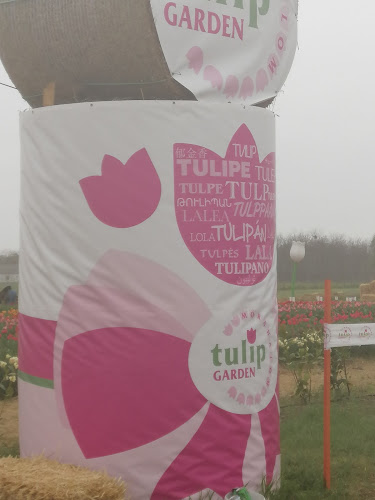 Mórahalom Mórahalom közelében 46.207959, 19.952863, 6782