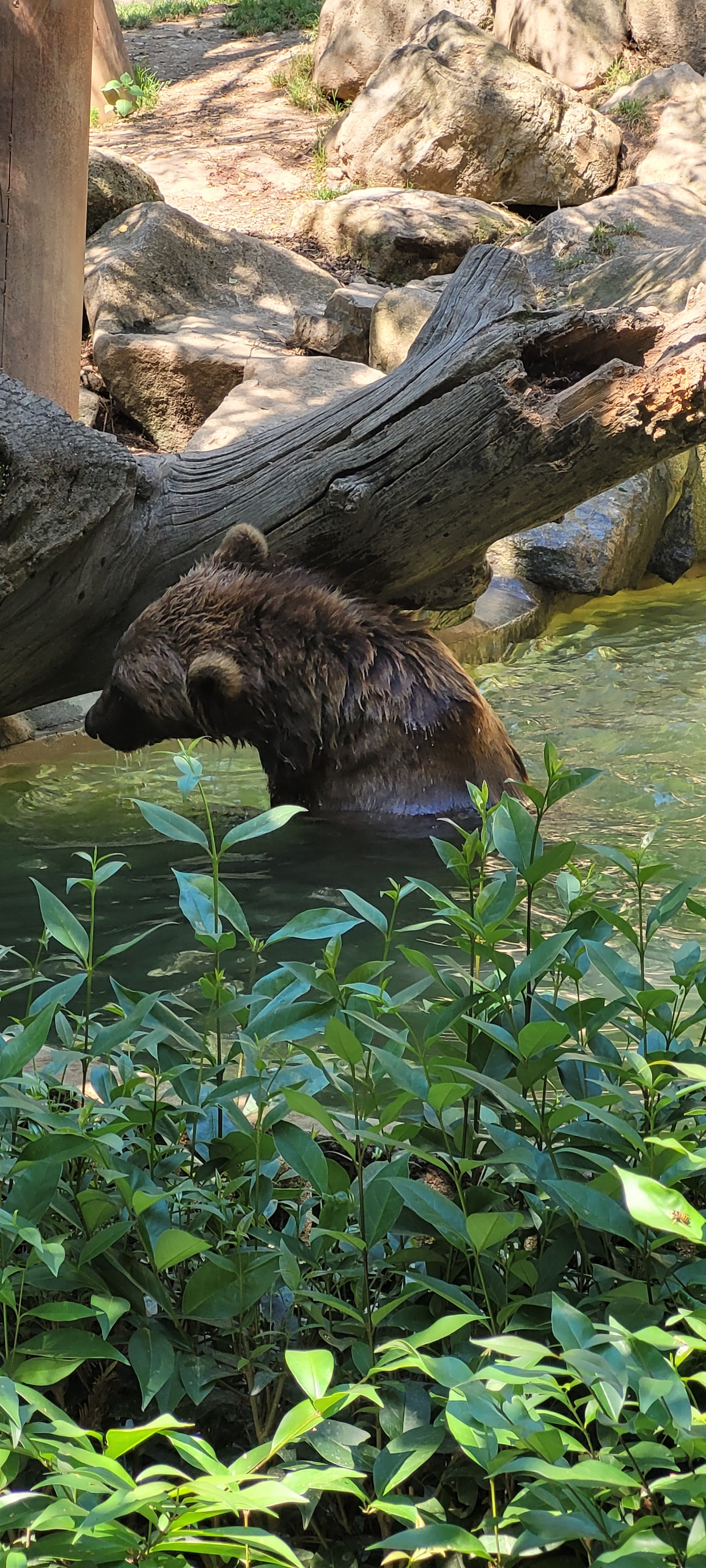 Photo n° 6 de l'avis de Francoise.i fait le 13/07/2022 à 21:54