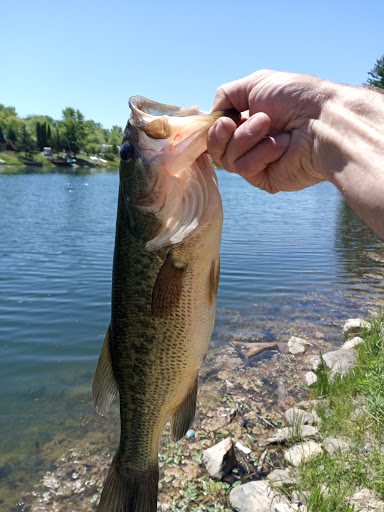Golf Course «Cinder Ridge Golf Links», reviews and photos, 24801 Lakepoint Dr # 20, Wilmington, IL 60481, USA