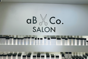 AbXCo Salon image