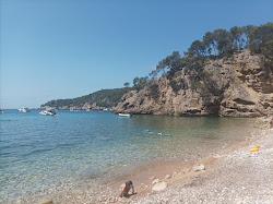 Plage de La Galere'in fotoğrafı vahşi alan