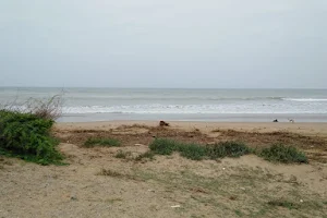 Bagar beach image