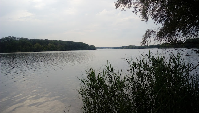 Értékelések erről a helyről: Kaposfüredi Galéria és Szoborpark, Kaposvár - Múzeum