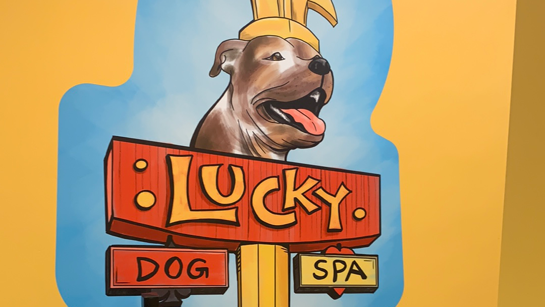 Lucky Dog Spa