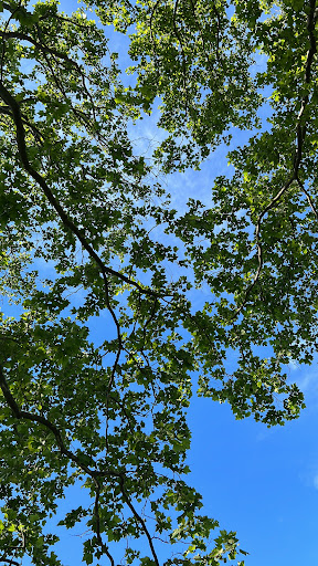 Park «Little Bay Park», reviews and photos, Cross Island Pkwy, Whitestone, NY 11357, USA