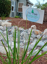 CG Tree And Landscape Inc. - Photo 5 - Car repair in Gardena, CA, Long Beach