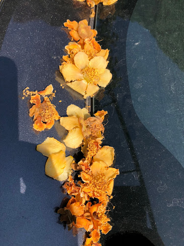 Badacsonytomaj, Park u. 53, 8261