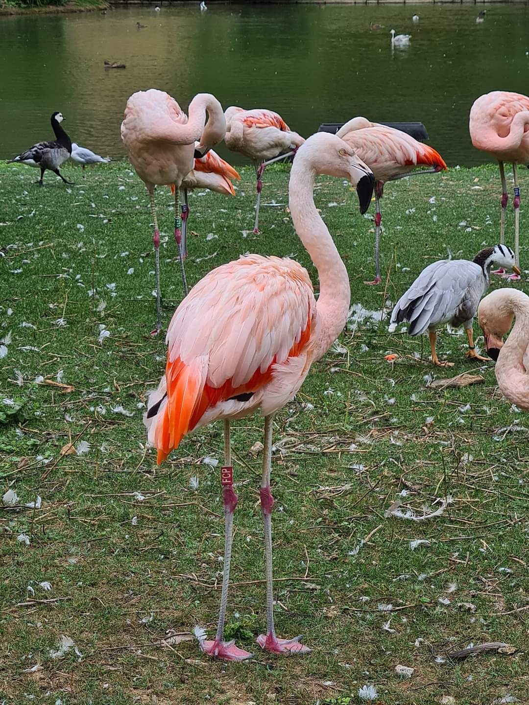 Photo n° 2 de l'avis de Maïté.e fait le 03/08/2022 à 19:24
