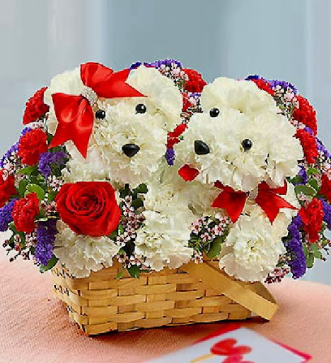 Florist «1-800Flowers/Colonial», reviews and photos, 1430 High St #1106, Williamsburg, VA 23185, USA