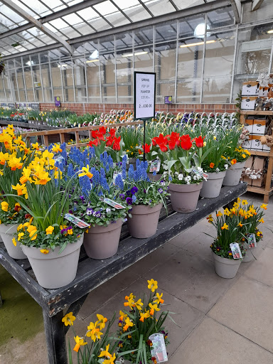 Stringers Garden Centre Rotherham